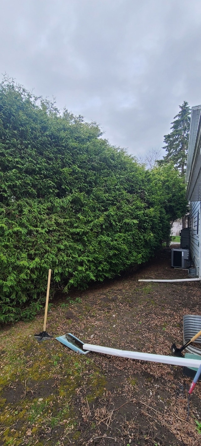Cedar Hedge Trimming Lawn, Tree Maintenance & Eavestrough Ottawa
