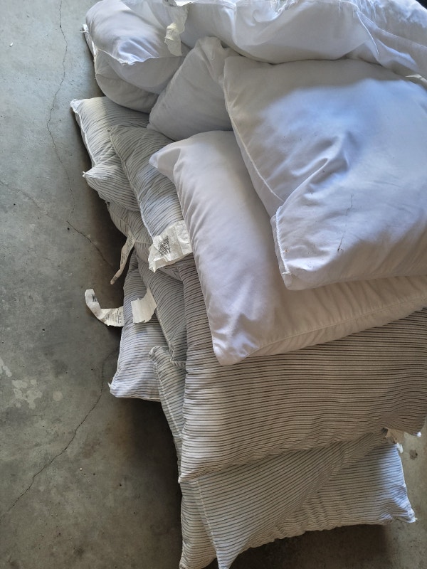 Free gently used pillows Free Stuff Edmonton Kijiji