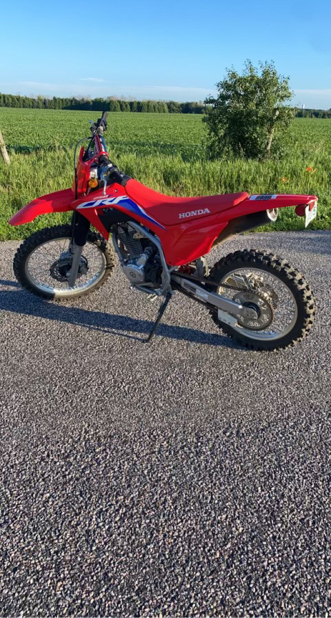 2022 Honda CRF250F in Dirt Bikes & Motocross in Kawartha Lakes - Image 2