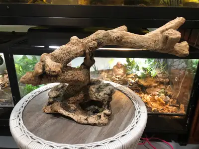 Large Reptile or Aquarium Decoration , View more