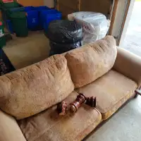 FREE dining table and couches