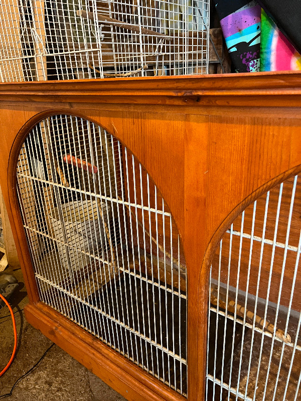 Large bird cage in Accessories in Bridgewater - Image 2