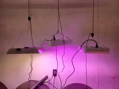 1) Phlizon 1000W, dimmable 2) Koscheal 1000W, Veg and Bloom settings 3) 1000W, Veg and Bloom setting...