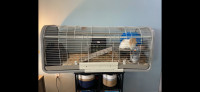 X-Large Guinea Pig Cage For Sale (excluding pigs)!!! 