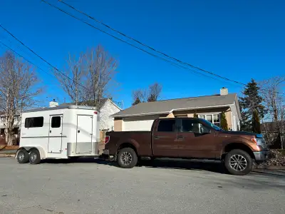 Horse Trailering Service, View more