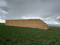 Hay for Sale - 1st Cut Alfalfa