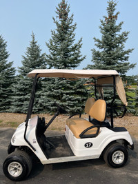 GOLF CART FOR SALE - End Of Season !!