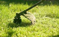Lawn care and maintenance 