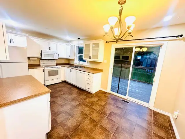 Detached House for Rent in Long Term Rentals in Dartmouth - Image 6