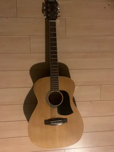 Ariana AF-15 prodigy acoustic series guitar (N)