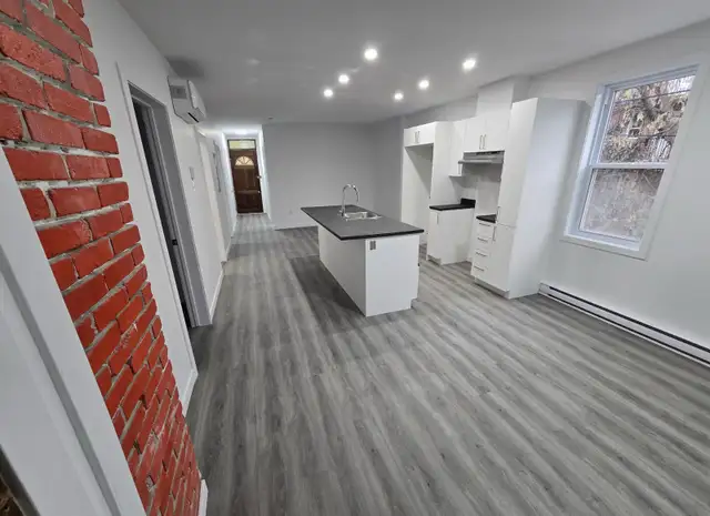 5 1/2 appartement à louer au Plateau Montreal