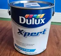 Gallon de peinture Dulux Bleu Calico