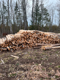 8 foot peeled cedar posts 3.5-6 inch top end diameter