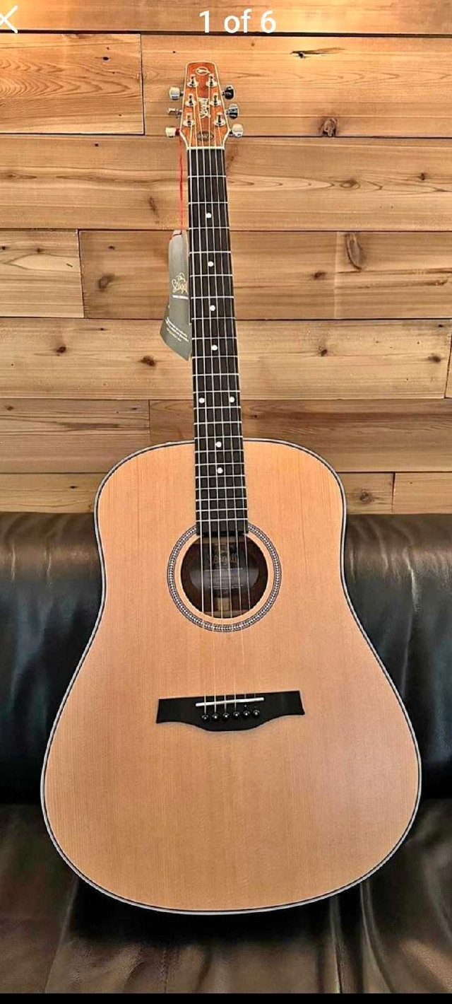 Seagull Maritime SWS by Godin Electric/Acoustic Guitar  in Guitars in Kingston - Image 2