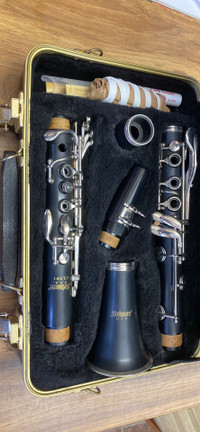 Selmer Clarinet Model CL301 Mint Condition.  Ready for school 