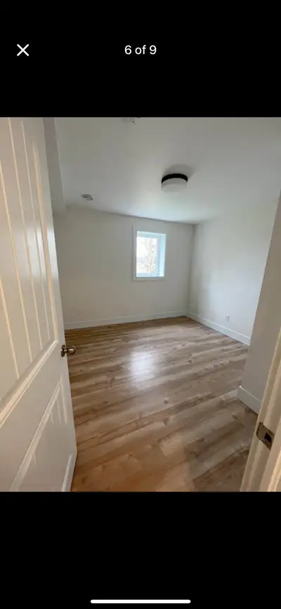 looking for a female roommate