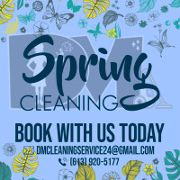 DM Cleaning Services