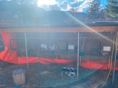 I have two all metal rabbit hutch’s 10 feet long. 14g welded wire for the bottom Cage has 4 bays @ 2...