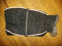 dog winter coat