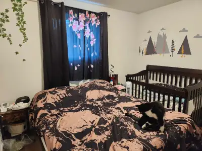 Venez visiter cet appartement 5 1/2 confortable et bien éclairé! Avec plusieurs améliorations récent...