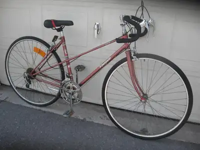 Medium size Renegade Mixte 12 speed Road Bike, View more