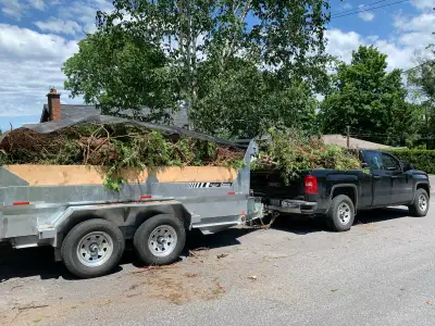 Storm Cleanup/Tree Removal , View more
