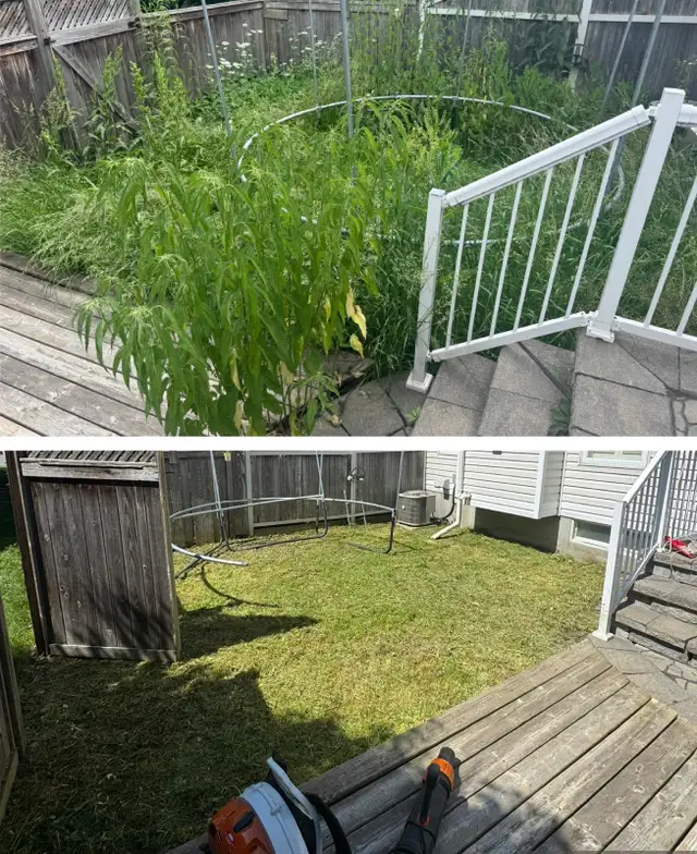 Landscaping & Hedge trimming in Lawn, Tree Maintenance & Eavestrough in Ottawa - Image 9