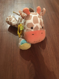 Carter’s giraffe 
