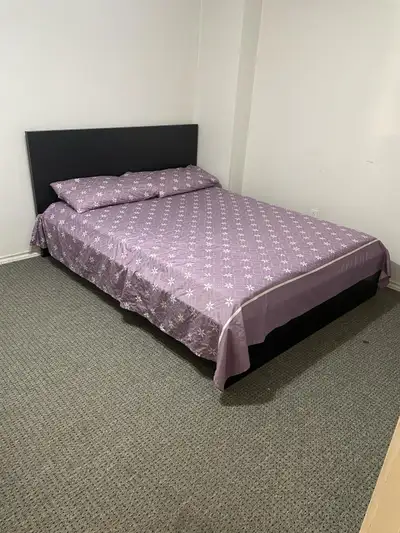 Basement for rent