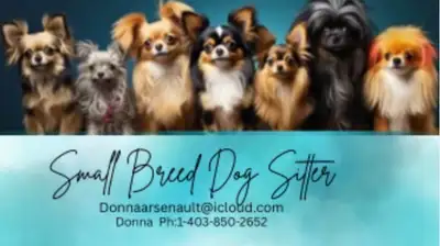 SMALL DOG BREED DOG SITTER BOARDING, View more