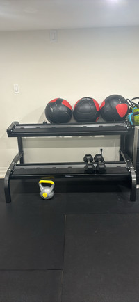 Dumbell rack with weighted balls and set of 20lb dumbless 