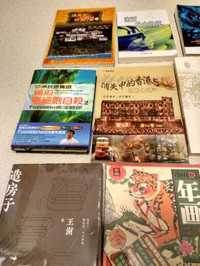 Assorted Chinese Books/Novels (Mixed lot, various types)