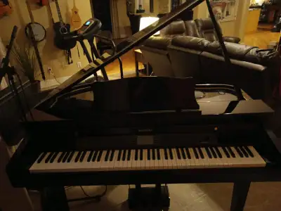 Suzuki msg-330 pain baby grand only 2 month old from coctco 1000 new price selling for 600