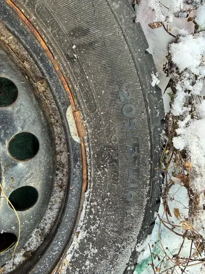 1 set of winter tires with steel rim on 4 pieces. 25/55/r16 Used on 2018 Corolla XSE 80% good used f...