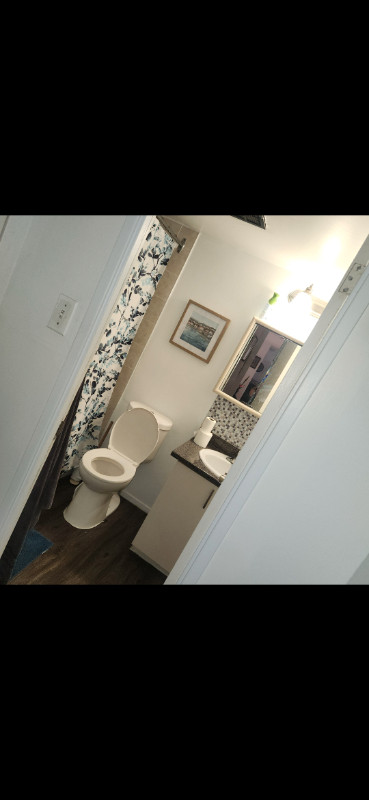 Room for rent in Apartment (LGBTQ+) in Room Rentals & Roommates in City of Toronto - Image 3