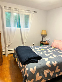 Roommate wanted to share a quiet 3 bedroom home.
