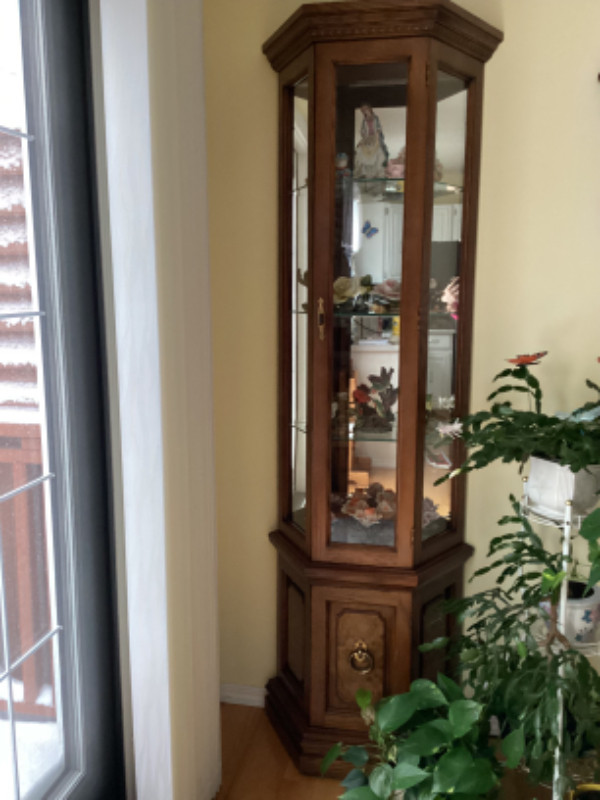 ANTIQUE CURIO CABINET in Hutches & Display Cabinets in Winnipeg