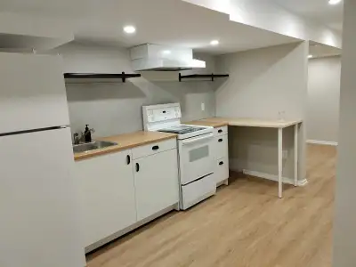 1br basement apartment for rent