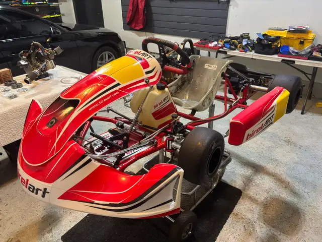 Birel ART AM29 S11 and 2 Briggs & Stratton Engines - Your in Other in City of Toronto - Image 3