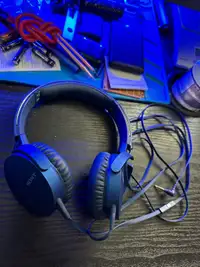 Sony Headphones - (WH-CH520)