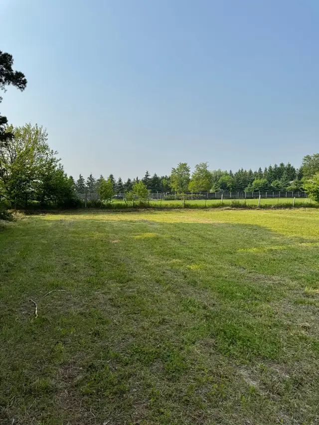 Professional Grass Cutting Service – Only $60 in Lawn, Tree Maintenance & Eavestrough in City of Toronto - Image 5