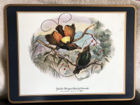 Gould Golden-winged Bird of Paradise placemat $15