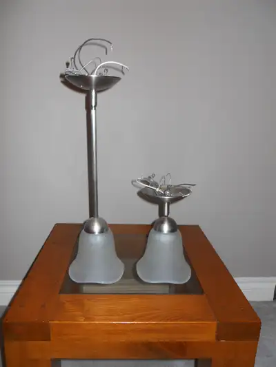 Set of 2 ceiling light fixtures with frosted glass shades in very good condition. Longer measures 18...