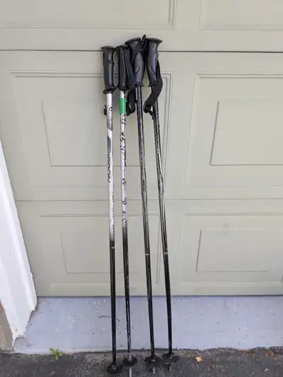 Two alpine/downhill ski poles (1.2m & 1.22m): $30 each