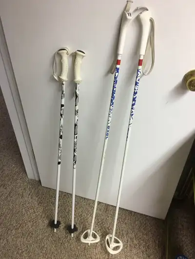 Excel & Rossignol 5086 Alloy Ski Poles, View more