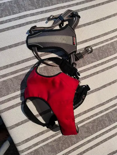 dog harness, View more