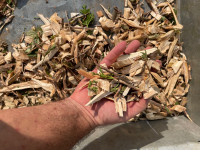 FREE Wood Chips / Mulch