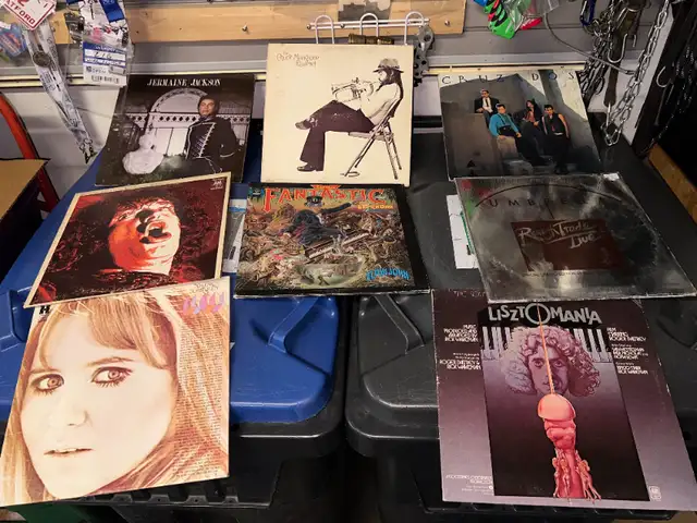 MORE VINTAGE VINYL ALBUMS - ELTON MANGIONE COCKER LULU DALTREY in Arts & Collectibles in Mississauga / Peel Region - Image 2