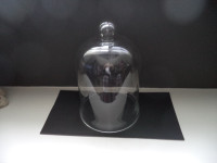 Glass Cloche