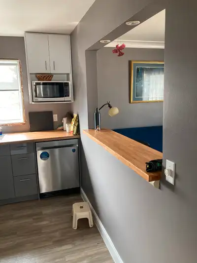 Furnished 1 bedroom condo available Sep 10